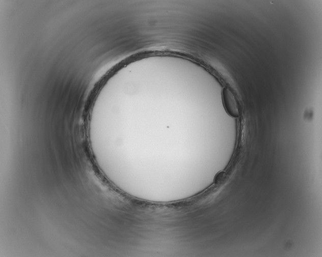 X0000113070876200909182022