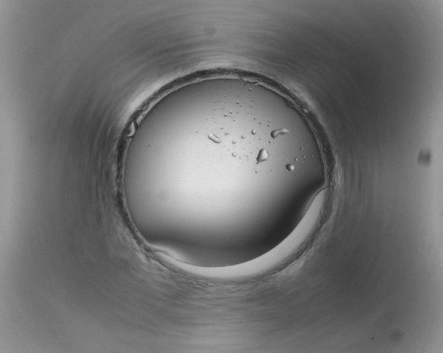 X0000113070877200909182022