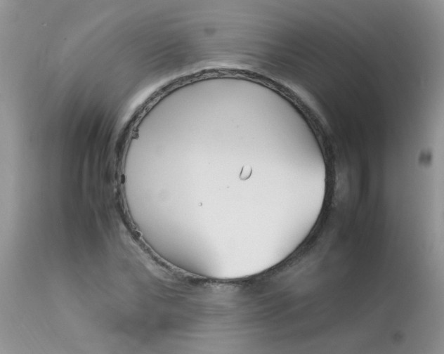 X0000113070878200909182022