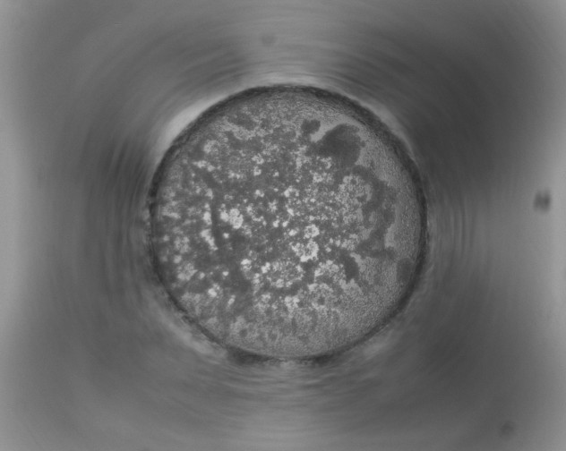 X0000113070879200909182022