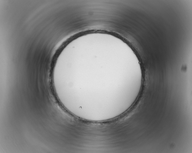 X0000113070880200909182022