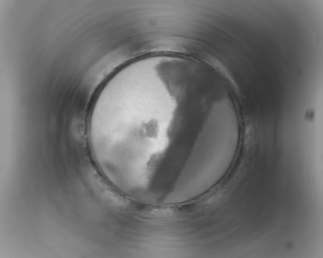 X0000113070882200909182022