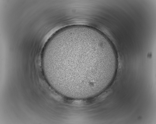 X0000113070883200909182022