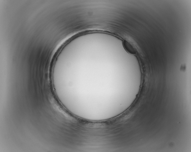 X0000113070884200909182022