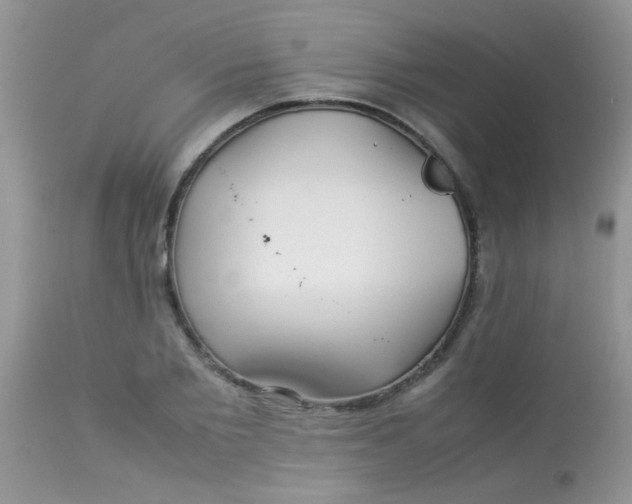 X0000113070885200909182022