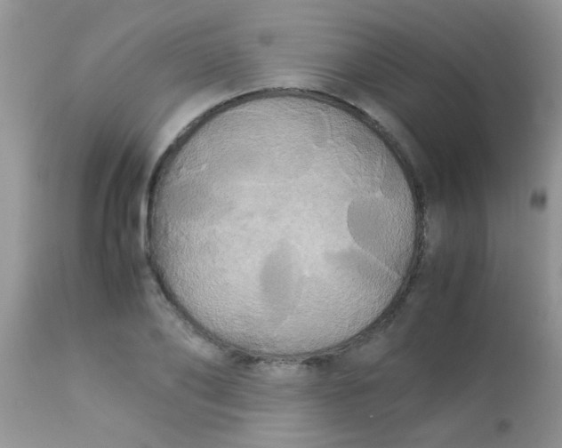 X0000113070886200909182022