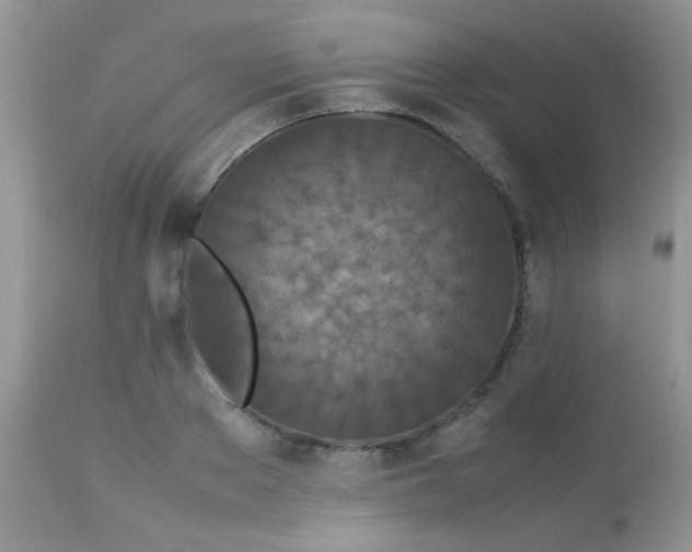 X0000113070889200909182022