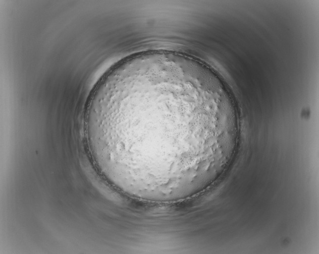 X0000113070891200909182022