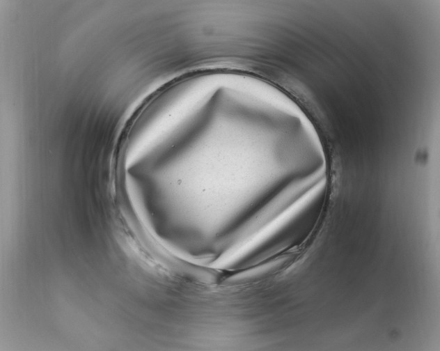 X0000113070892200909182022