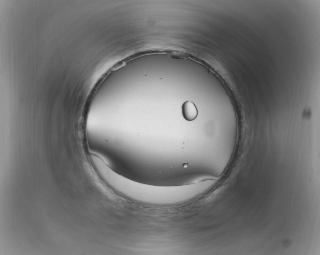 X0000113070893200909182022