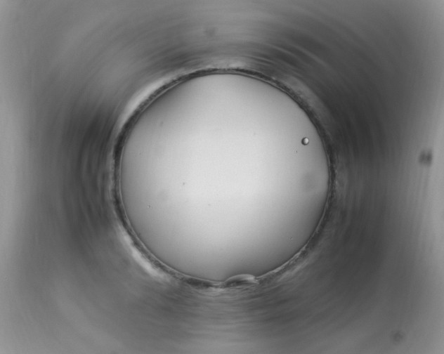 X0000113070894200909182022