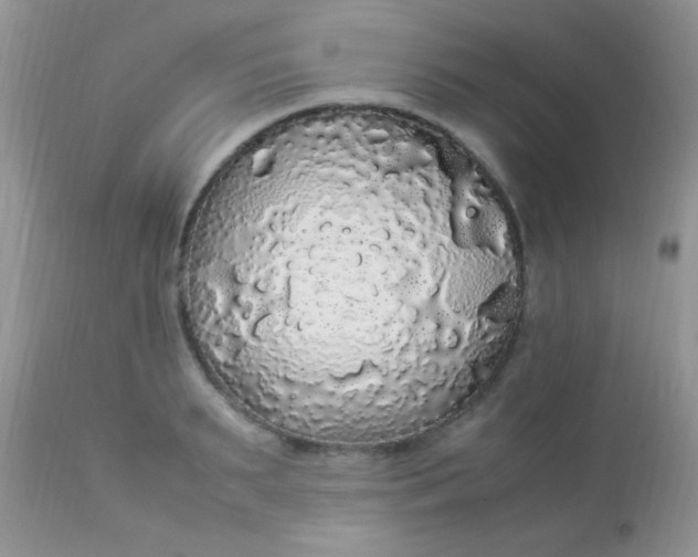 X0000113070895200909182022