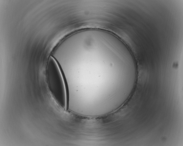 X0000113070896200909182022