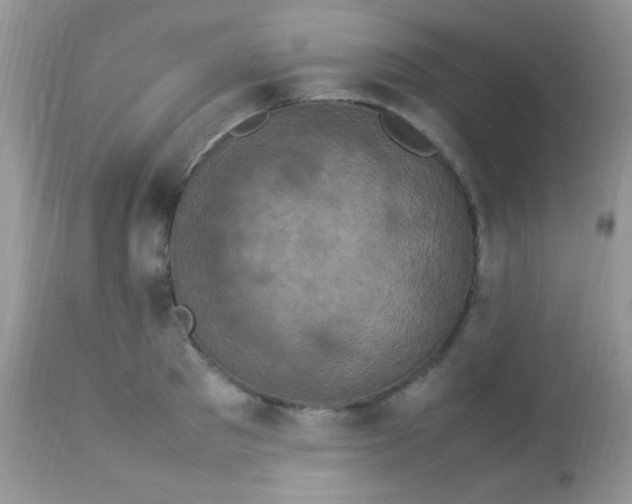 X0000113070897200909182022