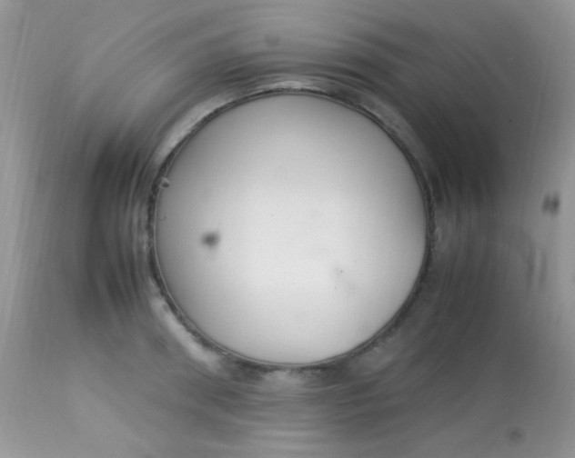 X0000113070898200909182022