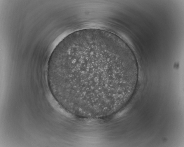 X0000113070899200909182022