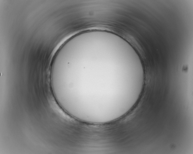 X0000113070900200909182022