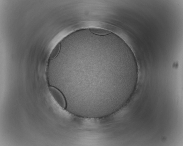 X0000113070901200909182022