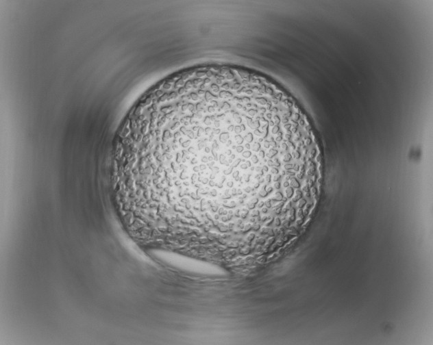 X0000113070903200909182022