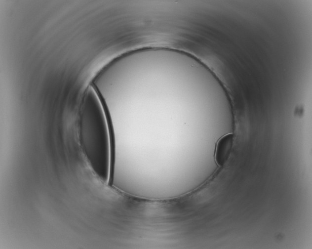 X0000113070904200909182022