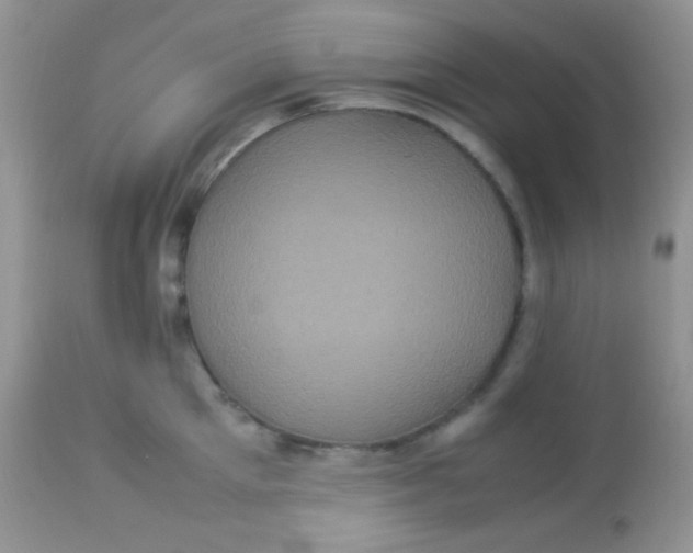 X0000113070905200909182022