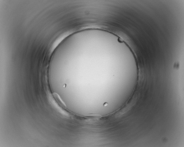 X0000113070906200909182022