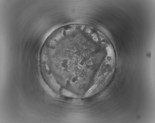 X0000113070907200909182022