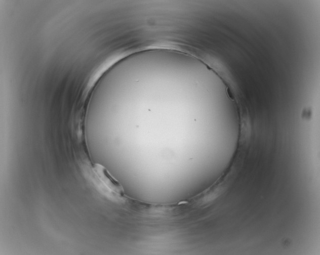 X0000113070908200909182022