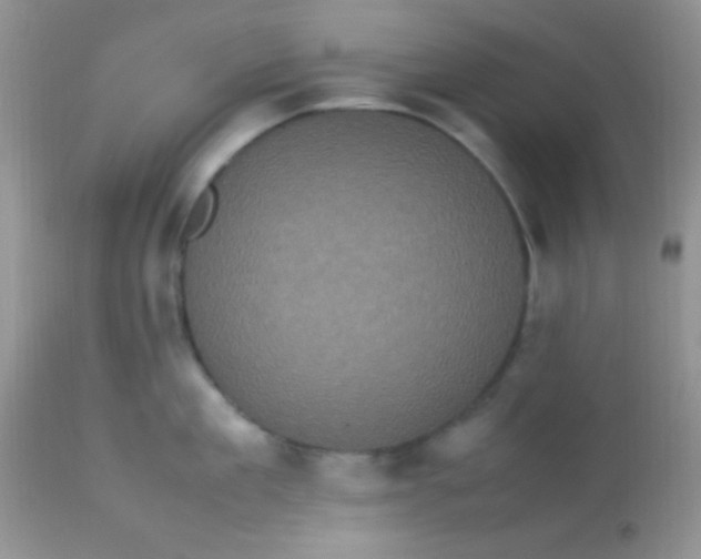 X0000113070909200909182022