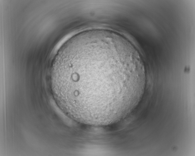 X0000113070911200909182022