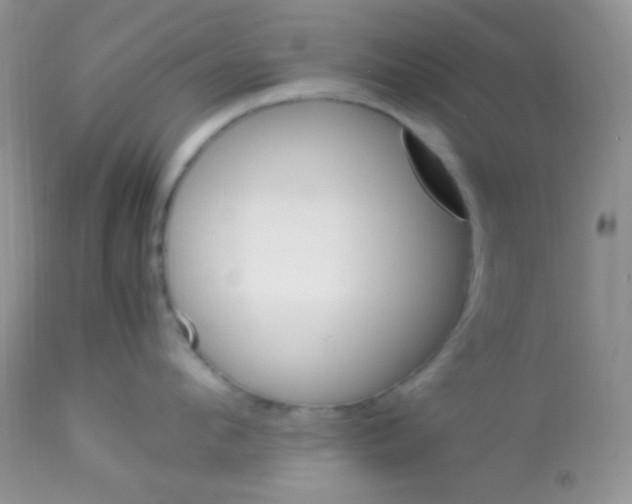 X0000113070912200909182022