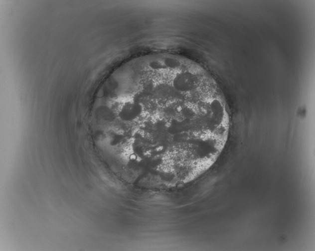 X0000113070913200909182021