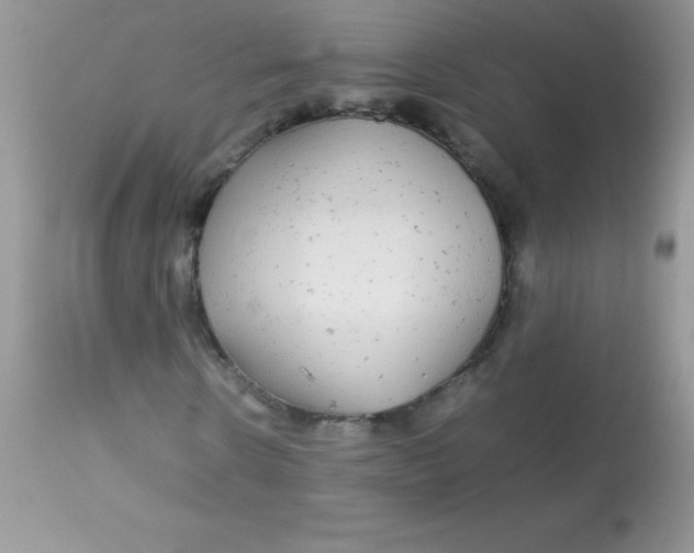 X0000113070914200909182021