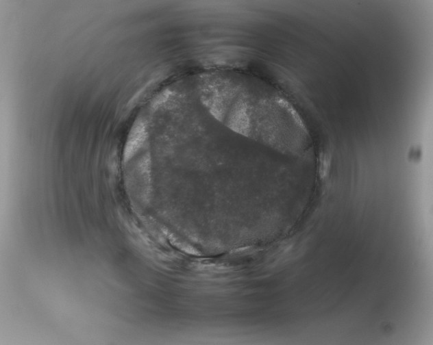 X0000113070915200909182021