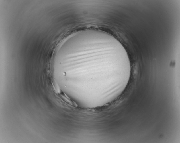 X0000113070916200909182021