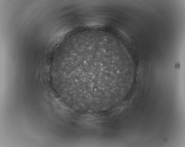 X0000113070917200909182021