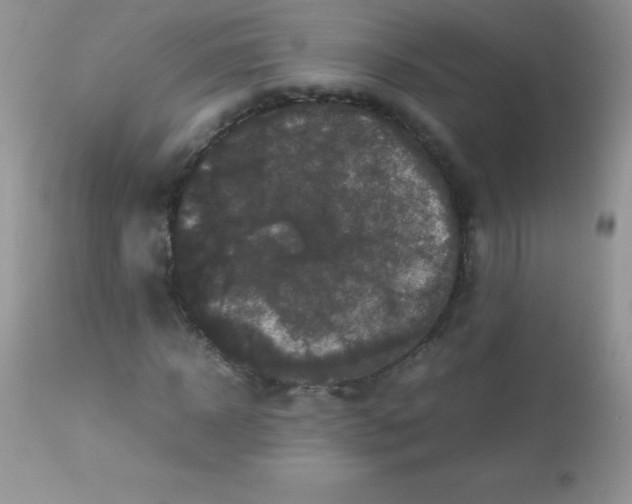 X0000113070918200909182021