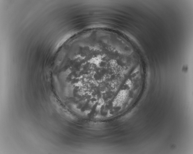 X0000113070921200909182021