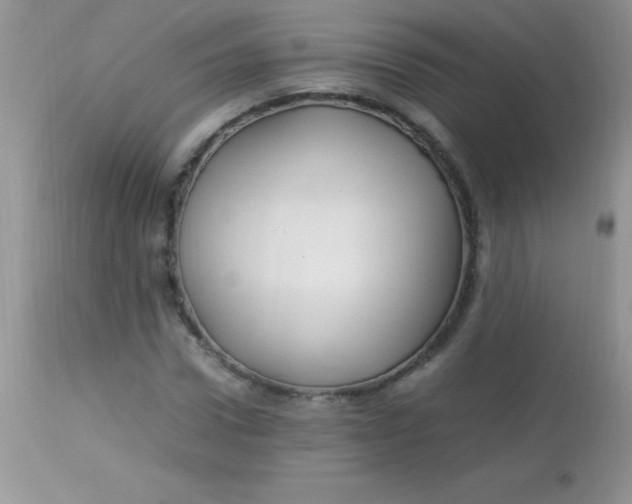 X0000113070922200909182021