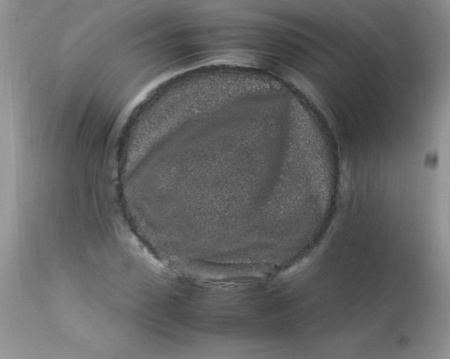 X0000113070923200909182021