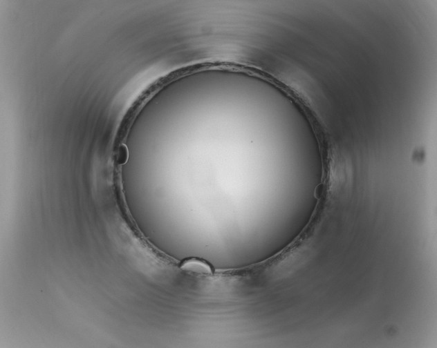 X0000113070924200909182021