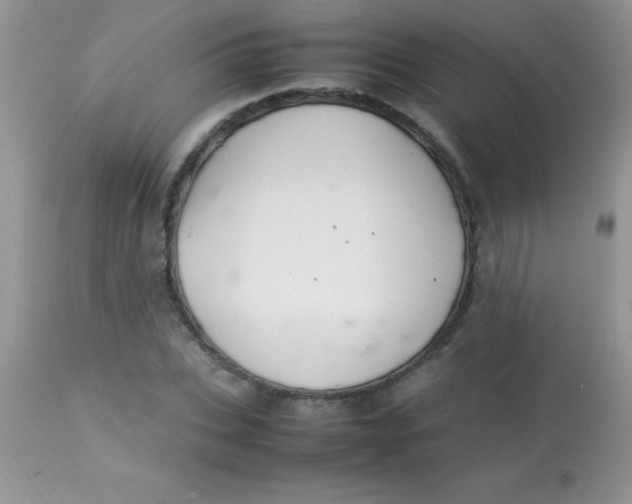 X0000113070927200909182021