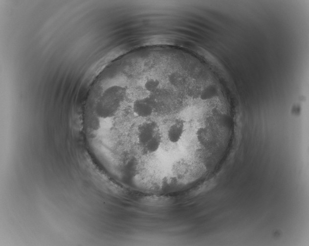 X0000113070929200909182021