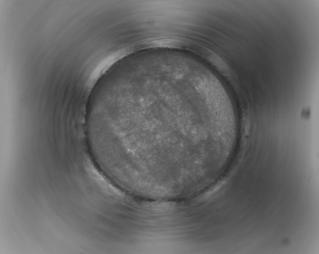 X0000113070930200909182021