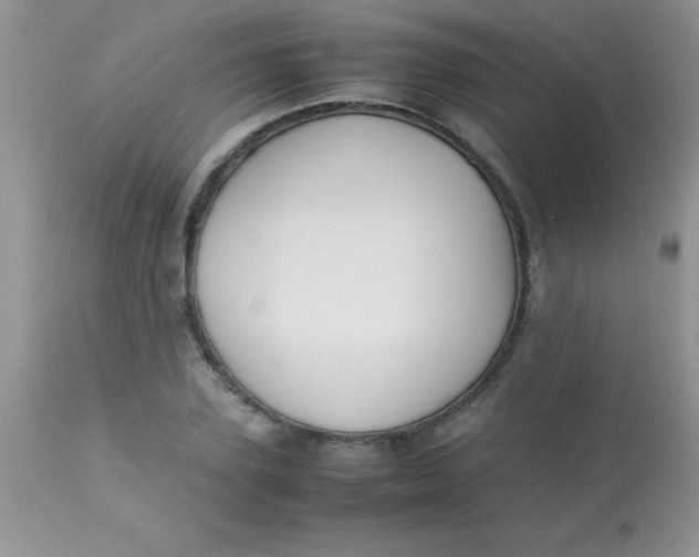 X0000113070931200909182021