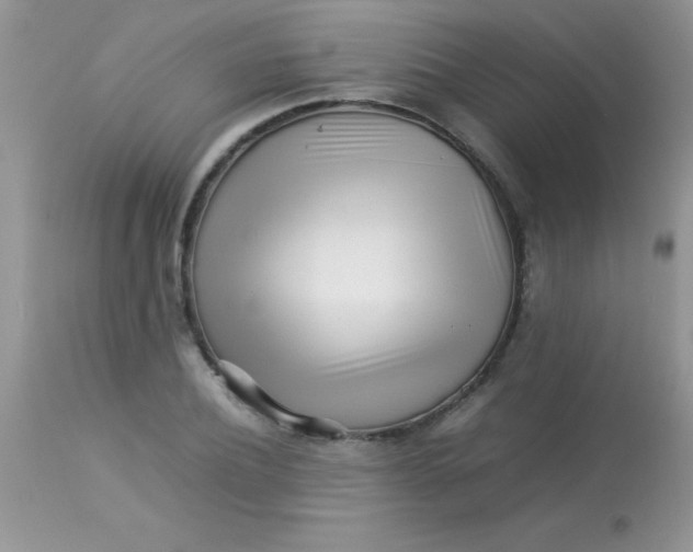 X0000113070932200909182021