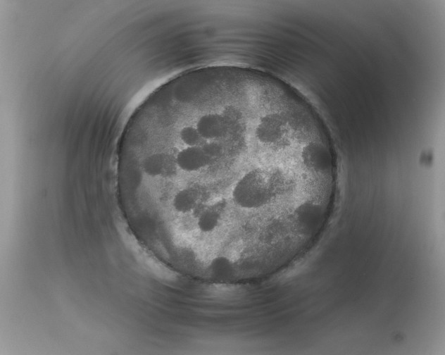 X0000113070933200909182021