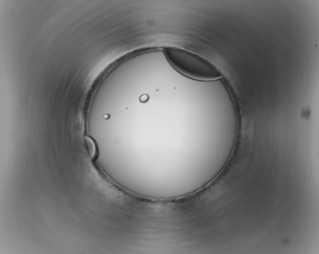 X0000113070936200909182021