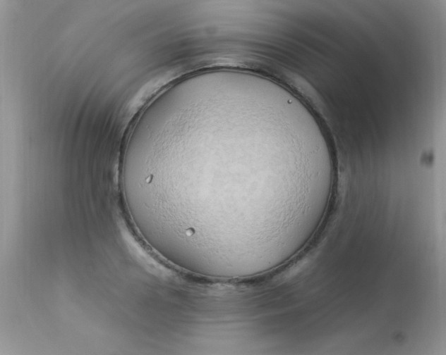 X0000113070938200909182021