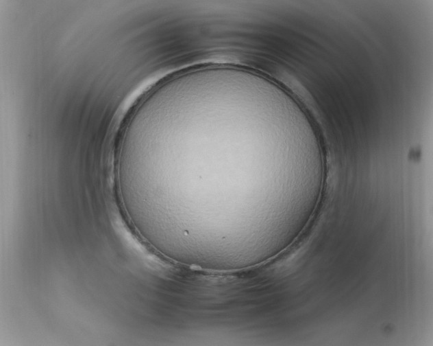 X0000113070939200909182021